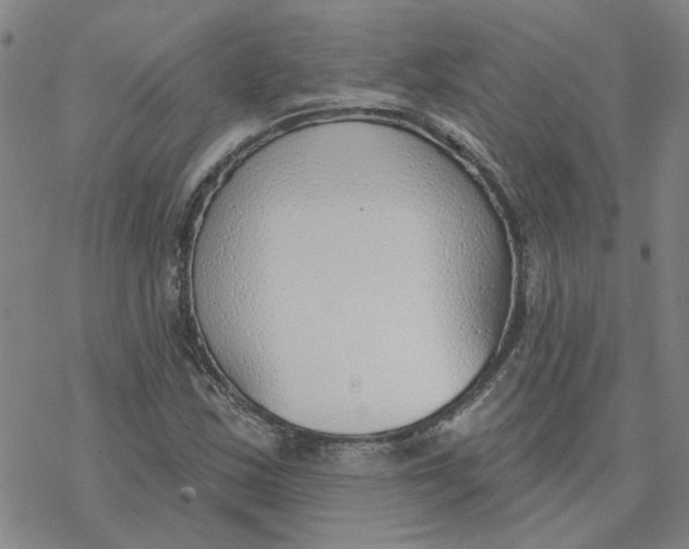 X0000076401163200610271611