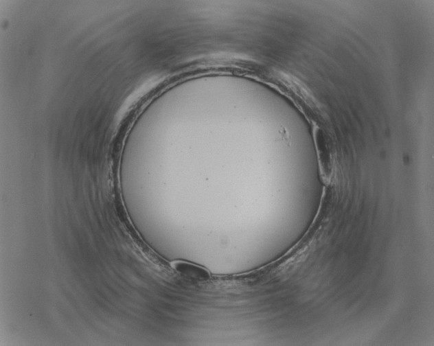 X0000076401164200610271611