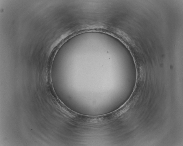 X0000076401165200610271611