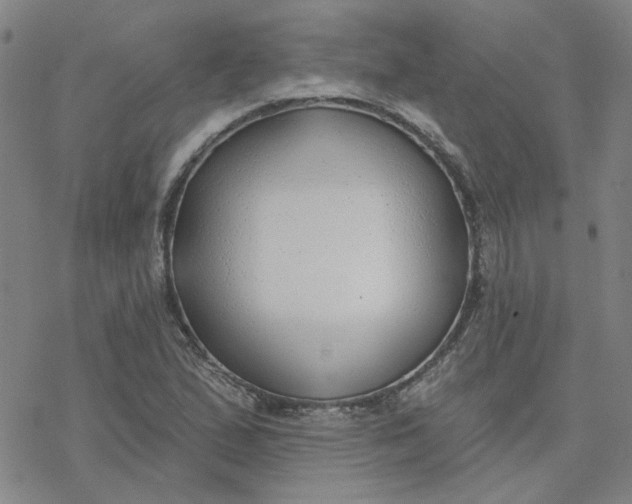 X0000076401167200610271610