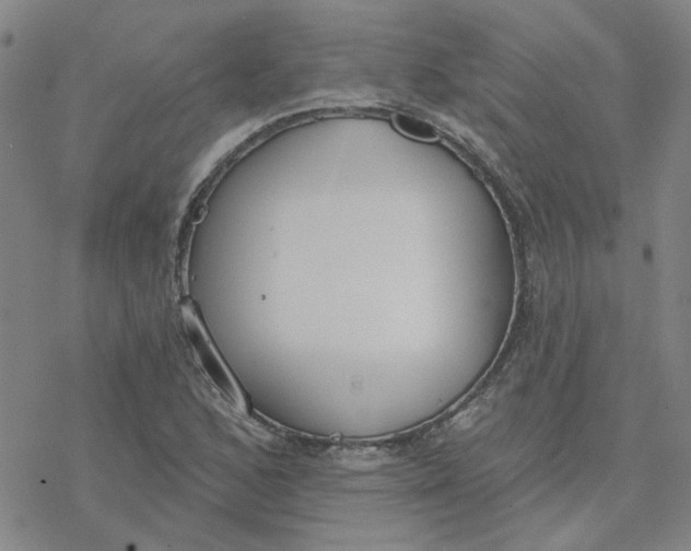 X0000076401168200610271610