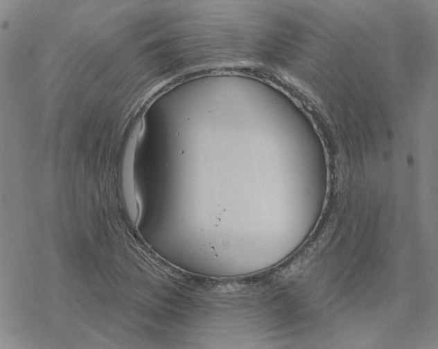 X0000076401169200610271610