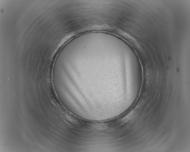 X0000076401170200610271610