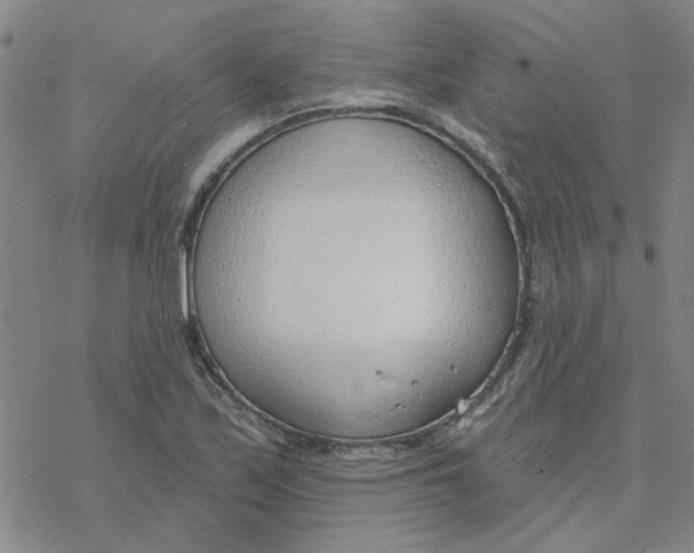 X0000076401171200610271610