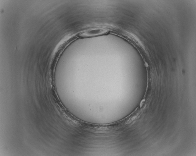 X0000076401172200610271610