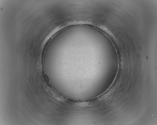 X0000076401173200610271610