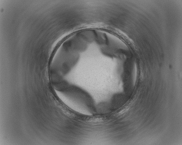 X0000076401174200610271610