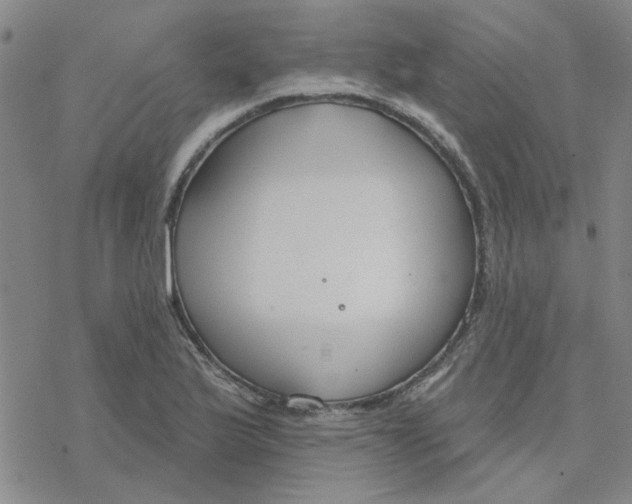 X0000076401175200610271610