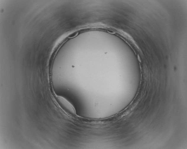 X0000076401176200610271610