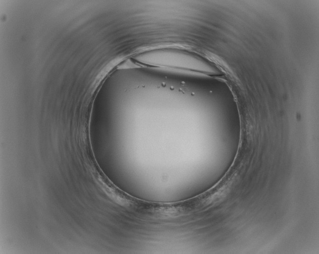 X0000076401177200610271610