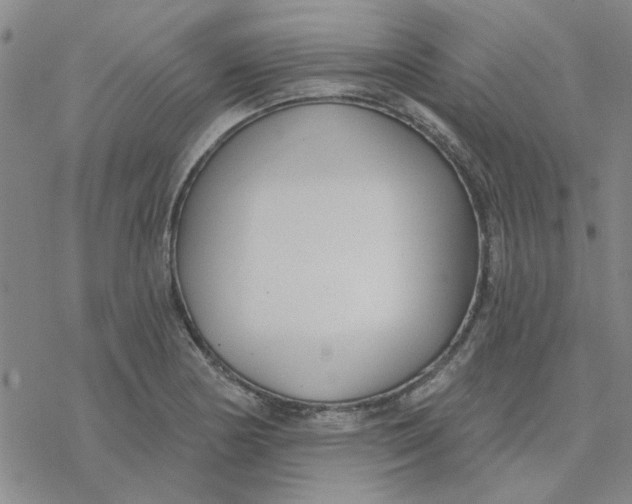 X0000076401178200610271610