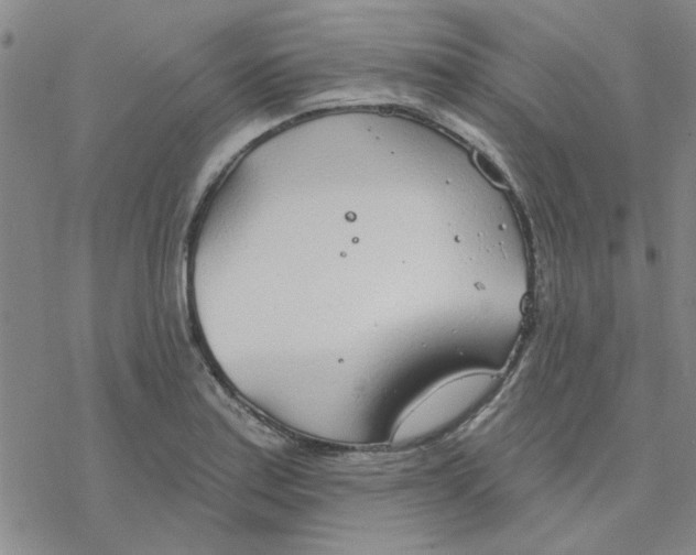 X0000076401179200610271610