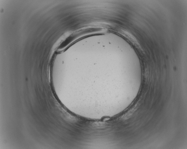 X0000076401180200610271610