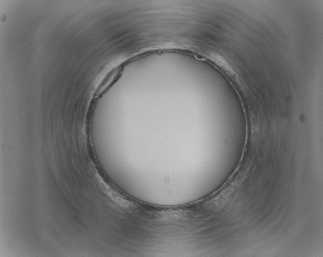 X0000076401181200610271610