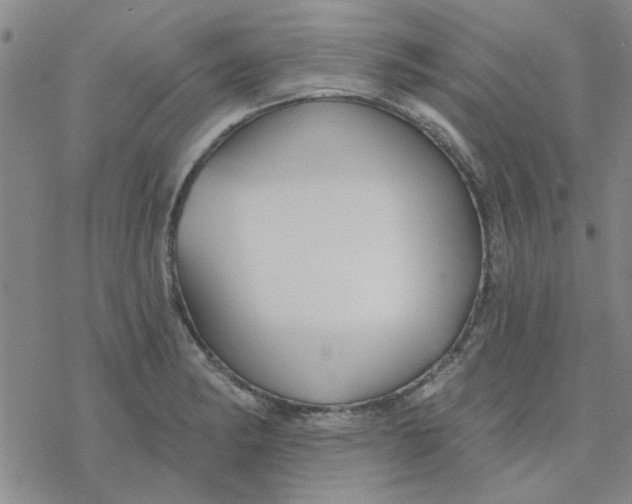 X0000076401182200610271610