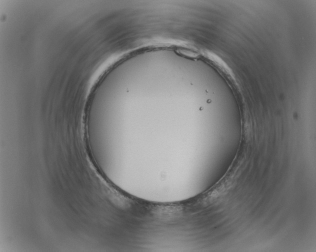 X0000076401183200610271610