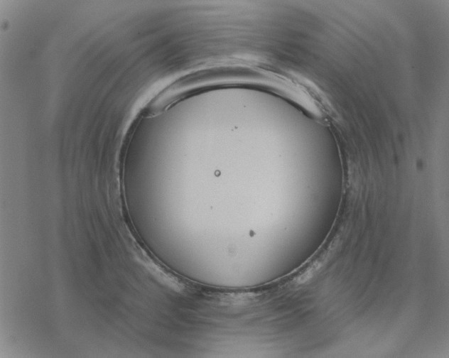 X0000076401184200610271610