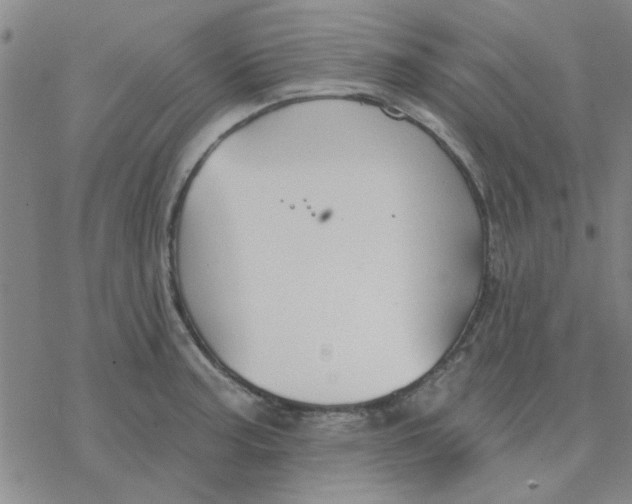 X0000076401187200610271610