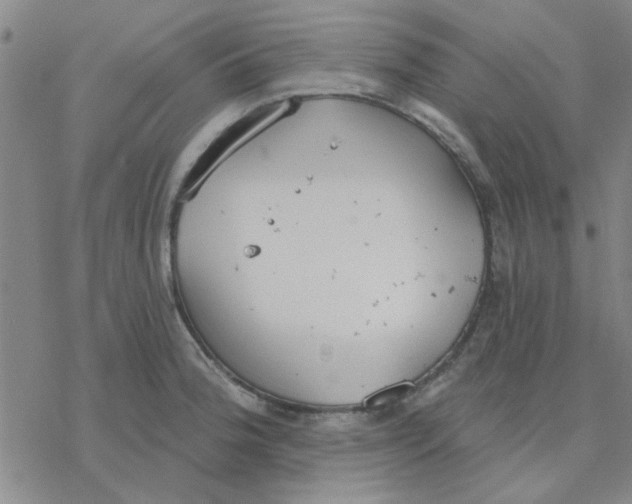 X0000076401188200610271610