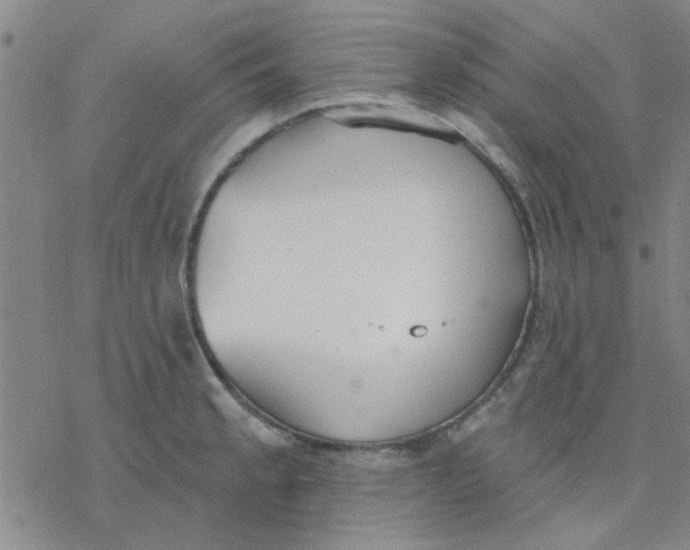 X0000076401189200610271610