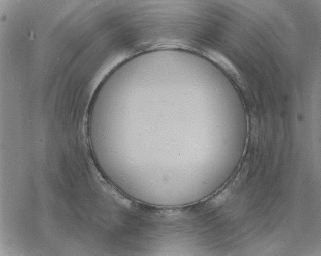 X0000076401190200610271610