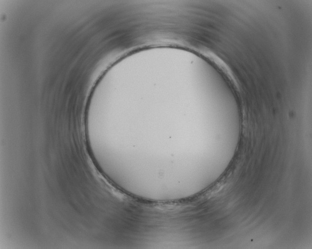 X0000076401191200610271610