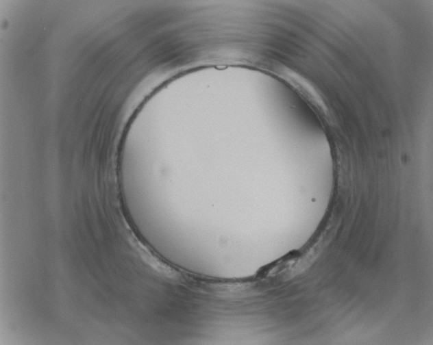 X0000076401192200610271610