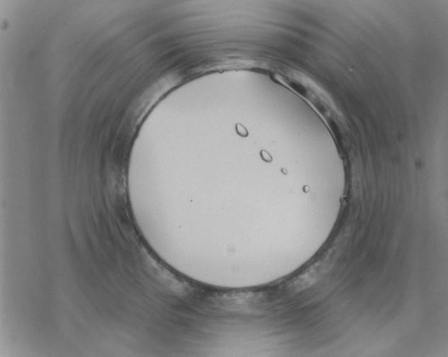 X0000076401193200610271610