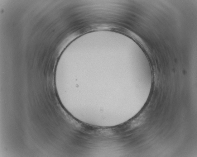 X0000076401194200610271610