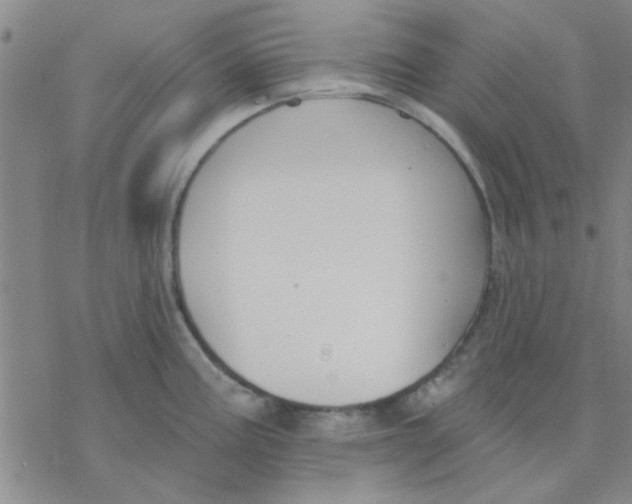 X0000076401195200610271610