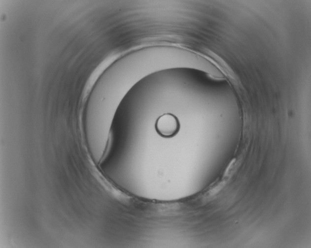 X0000076401196200610271610