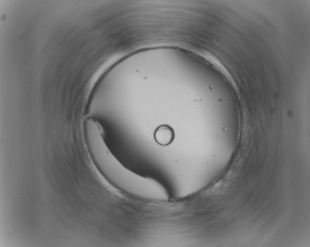 X0000076401197200610271610