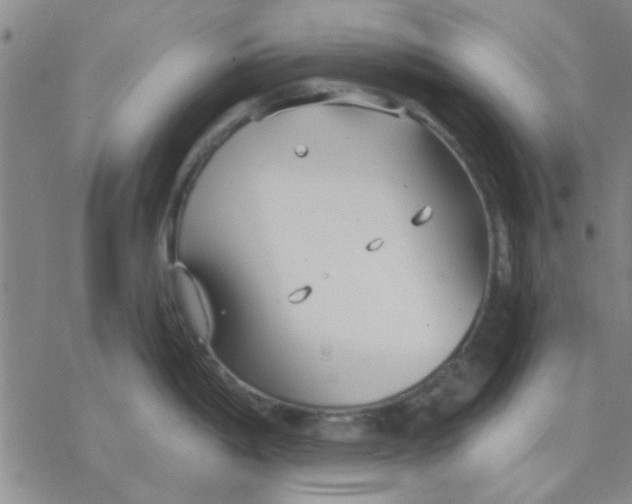 X0000076401198200610271610