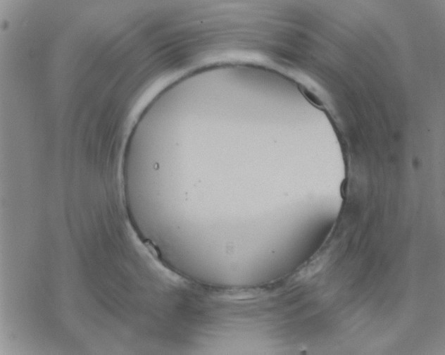 X0000076401199200610271610