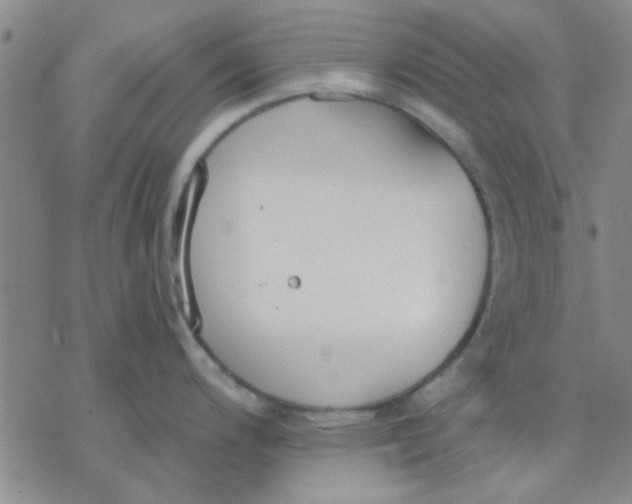 X0000076401200200610271610