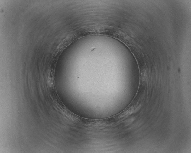 X0000076401202200610271609