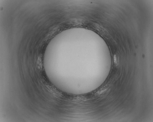 X0000076401203200610271609