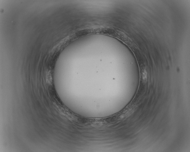 X0000076401204200610271609