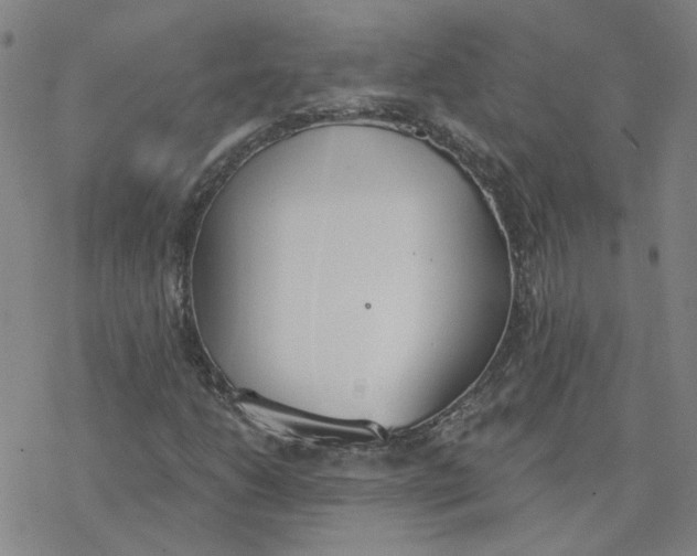 X0000076401206200610271609