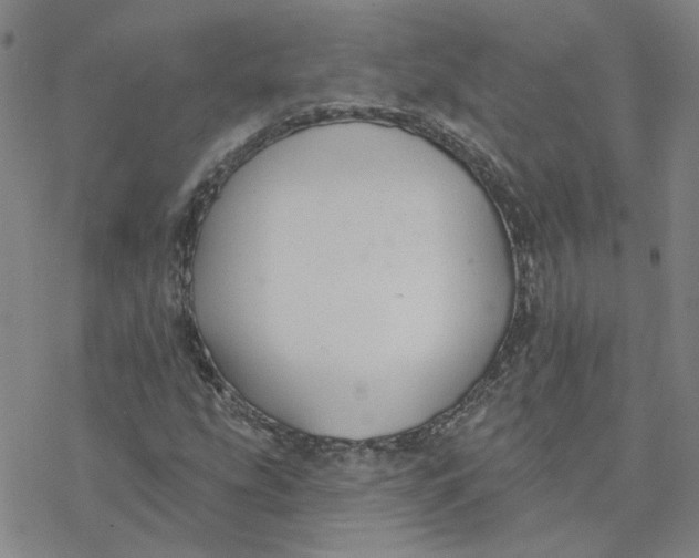 X0000076401207200610271609