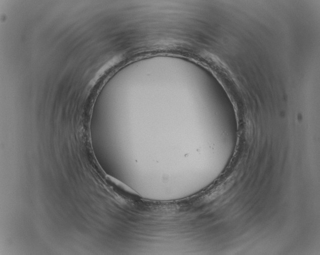 X0000076401210200610271609