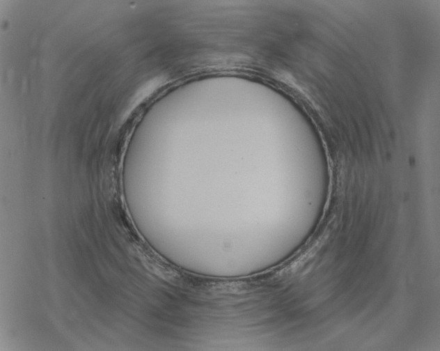 X0000076401211200610271609