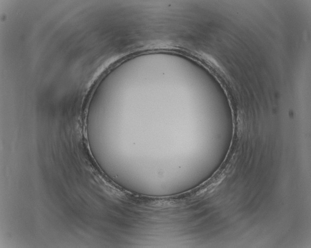 X0000076401212200610271609