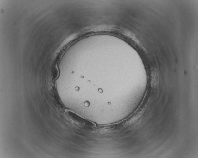 X0000076401213200610271609