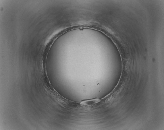 X0000076401214200610271609