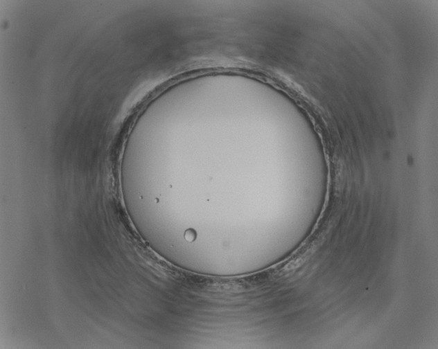 X0000076401215200610271609