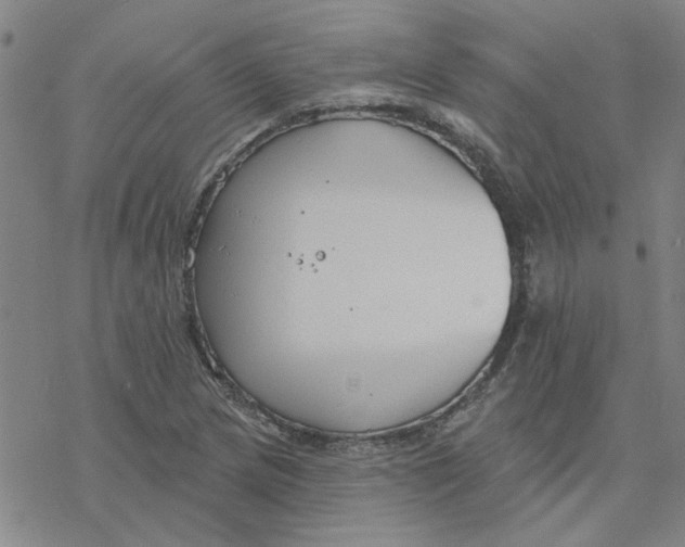 X0000076401217200610271609