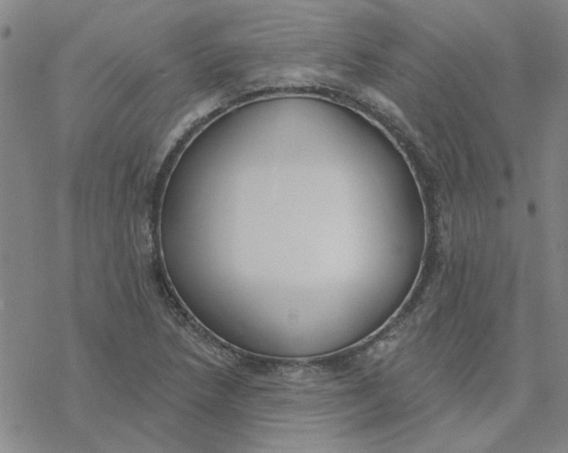 X0000076401218200610271609