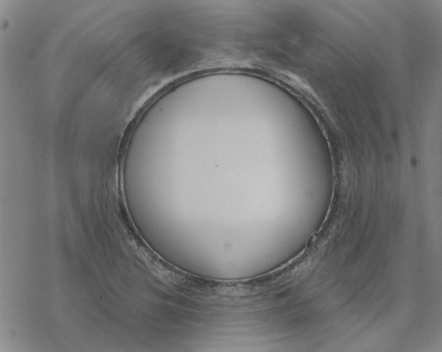 X0000076401220200610271609