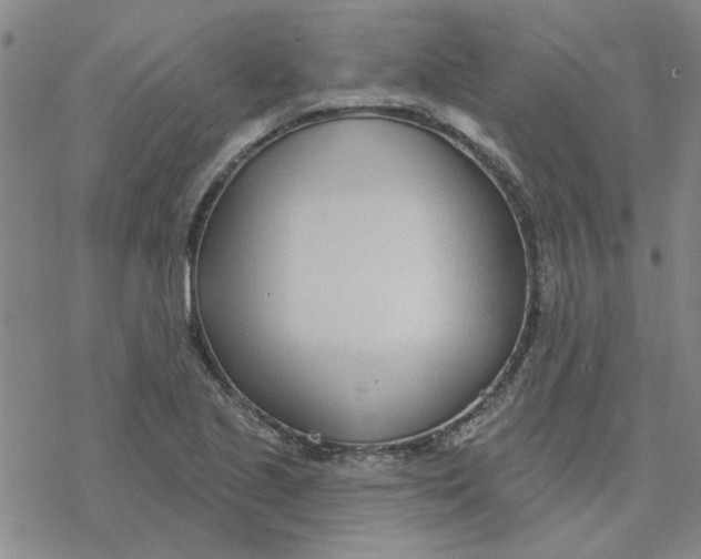 X0000076401221200610271609